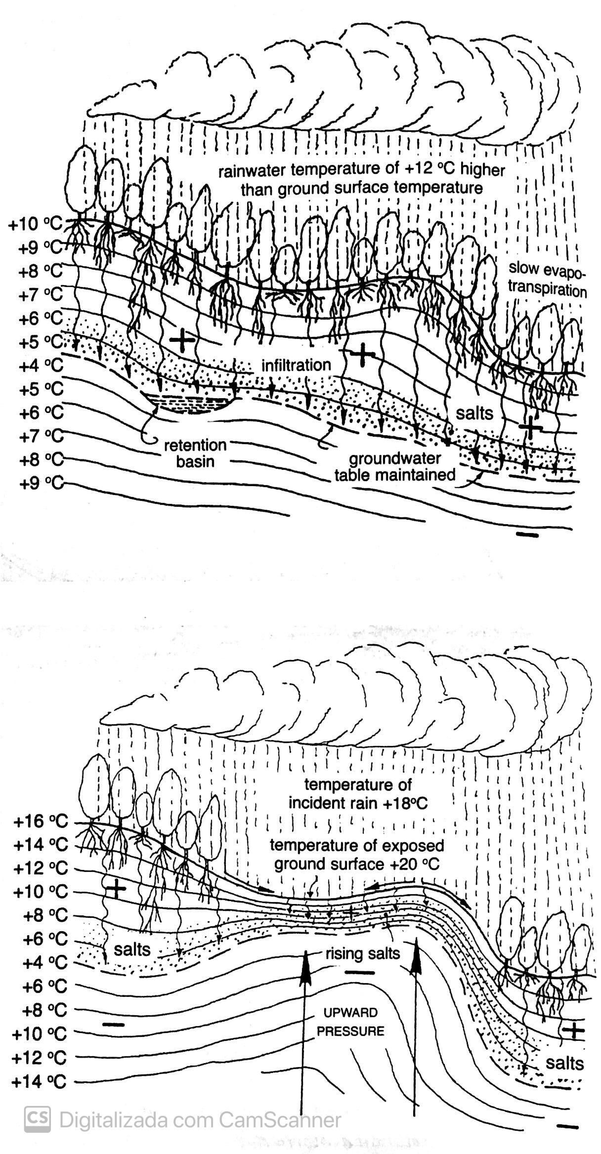 Esta imagem possuí um atributo alt vazio; O nome do arquivo é 7423b9f5-c95a-48b7-83ad-affbb2e4f177photo.jpg